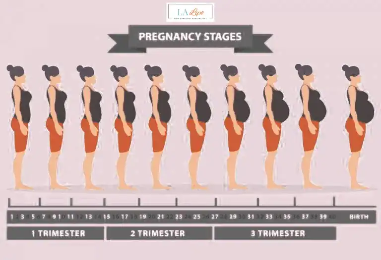First Trimester (Weeks 1–12): Early Changes You Might Not Notice White City